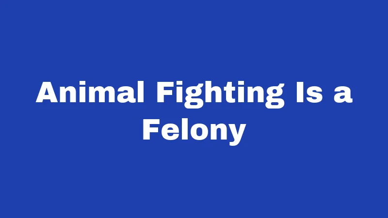 Animal Abuse Laws in Arkansas (2026): Know the Real Rules 2 Animal Fighting Is a Felony