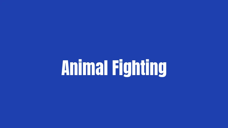 Animal Fighting