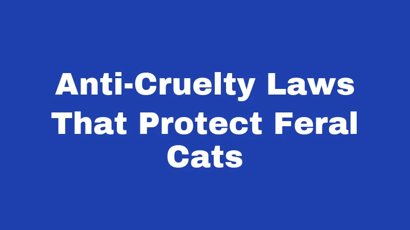 Anti-Cruelty Laws That Protect Feral Cats