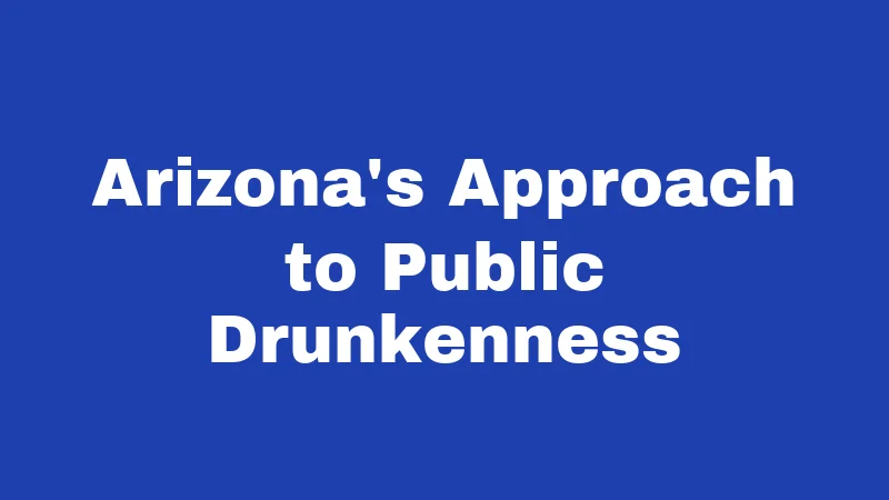 Arizona's Approach to Public Drunkenness