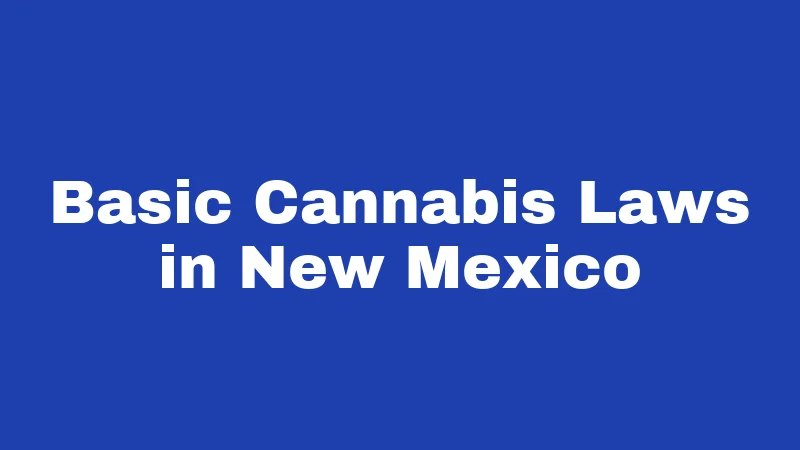 Cannabis Laws in New Mexico (2026): Limits, Fines, and Surprises 1 Basic Cannabis Laws in New Mexico