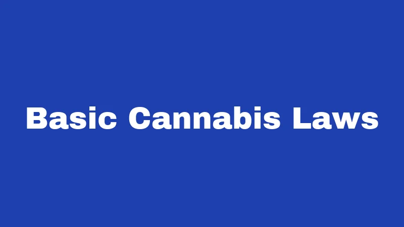 Cannabis Laws in Hawaii (2026): Aloha State's Slow Green Road 1 Basic Cannabis Laws