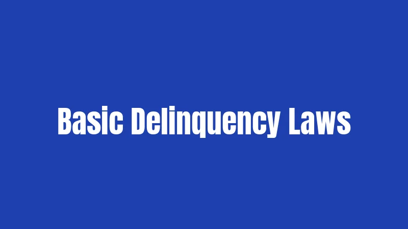 Basic Delinquency Laws