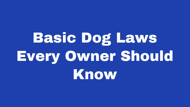 Basic Dog Laws Every Owner Should Know