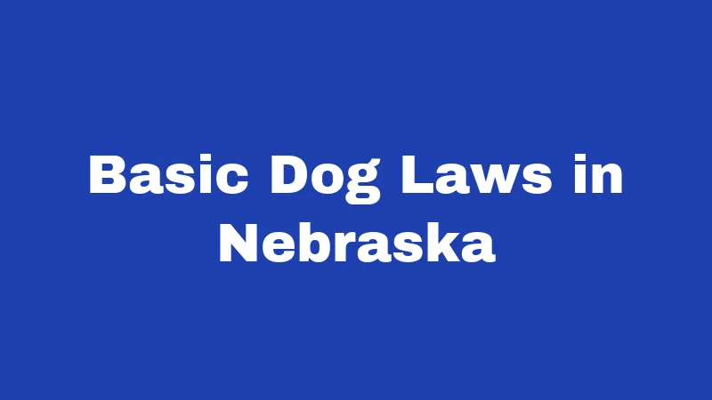 Dog Laws in Nebraska (2026): The Rules Every Owner Should Know 1 Basic Dog Laws in Nebraska