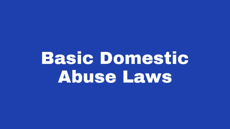 Basic Domestic Abuse Laws
