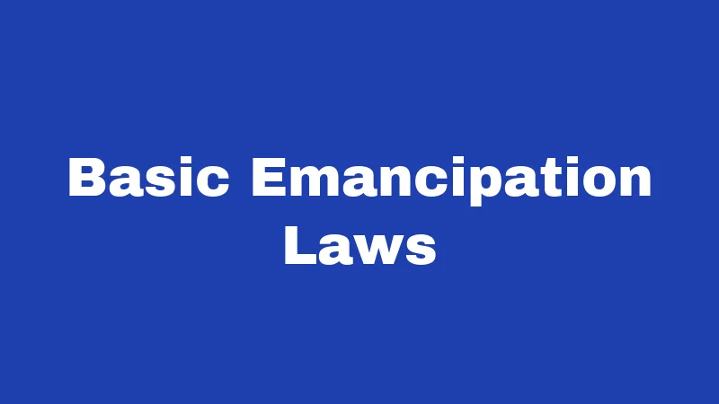 Emancipation Laws in New Mexico (2026): The Teen's Guide to Going It Alone 1 Basic Emancipation Laws
