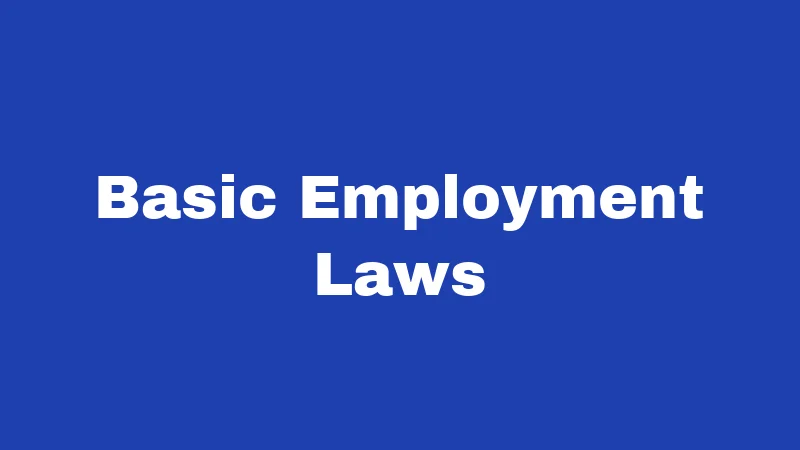 Basic Employment Laws