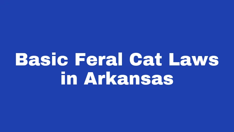 Feral Cat Laws in Arkansas (2026): Rules Every Cat Caretaker Must Know 1 Basic Feral Cat Laws in Arkansas