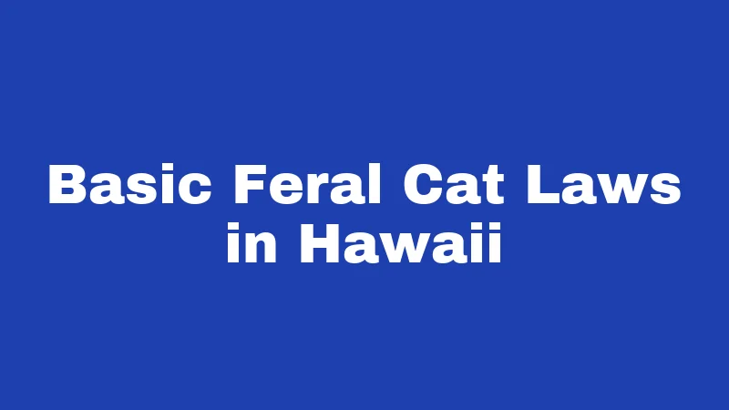 Basic Feral Cat Laws in Hawaii