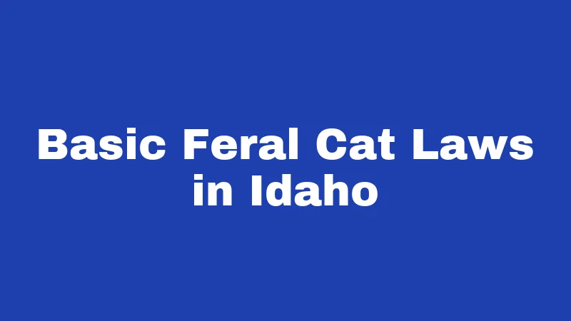Feral Cat Laws in Idaho (2026): The Rules Nobody Explains Clearly 1 Basic Feral Cat Laws in Idaho