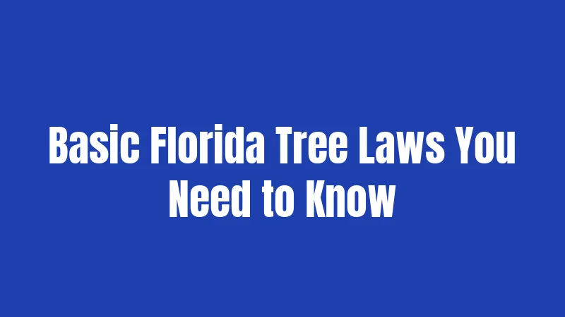 Florida Tree Laws in 2026: What You Actually Need to Know 2 Basic Florida Tree Laws You Need to Know