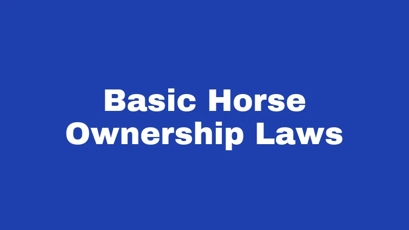 Basic Horse Ownership Laws