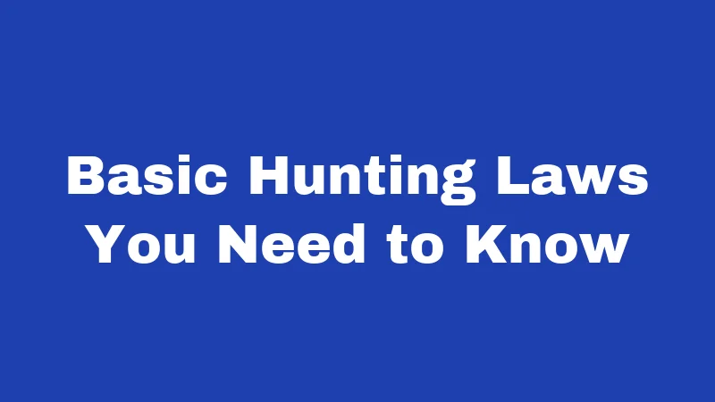 Basic Hunting Laws You Need to Know