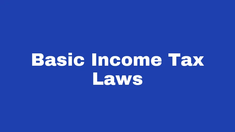 Basic Income Tax Laws