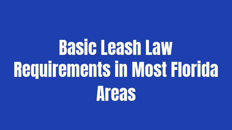 Basic Leash Law Requirements in Most Florida Areas