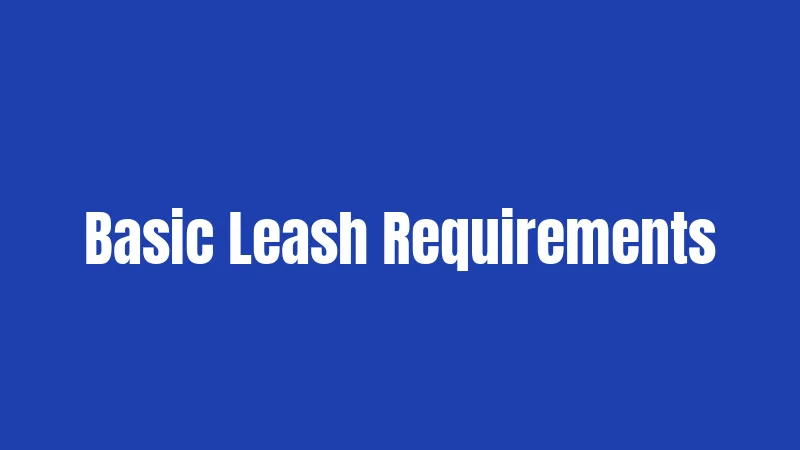 Basic Leash Requirements