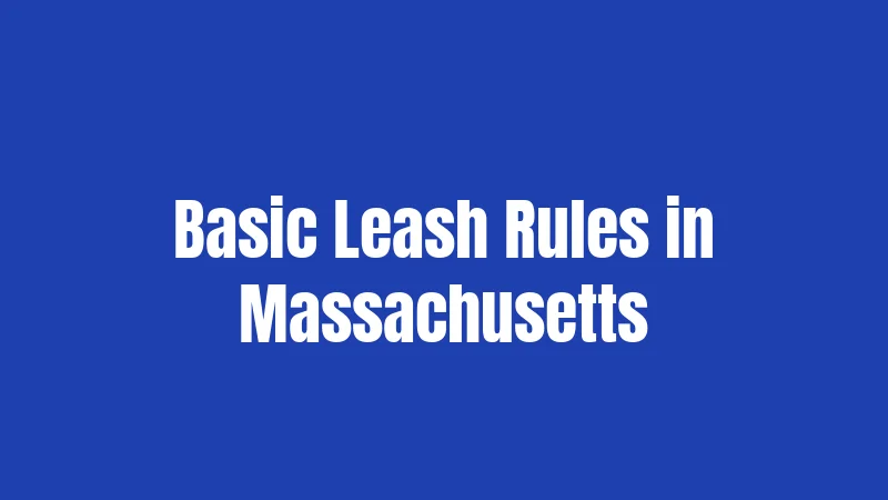 Basic Leash Rules in Massachusetts