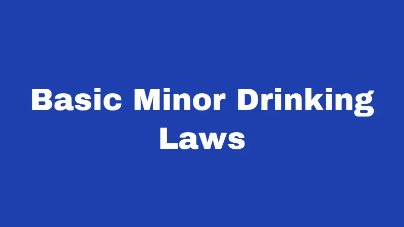 Minor Drinking Laws in Nebraska (2026): The Rules Behind the Red Cup 1 Basic Minor Drinking Laws