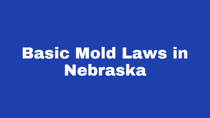 Mold Laws in Nebraska (2026): What Renters Often Learn Too Late 1 Basic Mold Laws in Nebraska