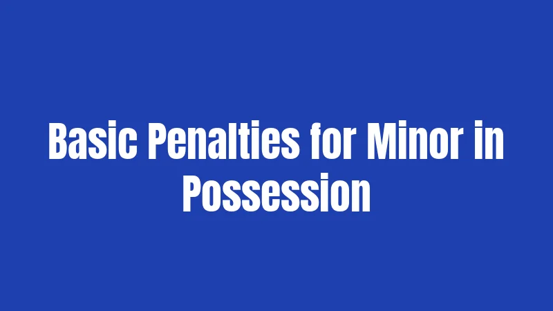 Basic Penalties for Minor in Possession