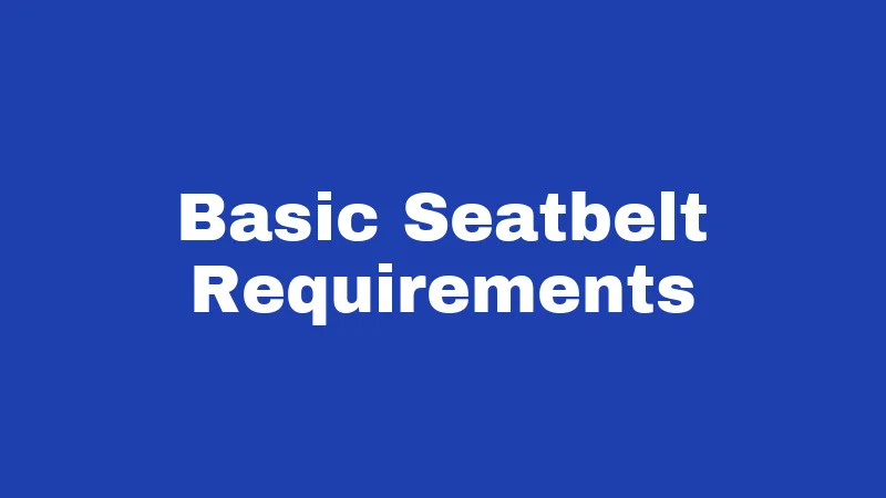 Seatbelt Laws in New Mexico (2026): Buckle Up or Pay Up 1 Basic Seatbelt Requirements