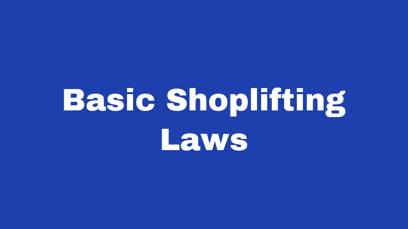 Shoplifting Laws in Louisiana (2026): Fines, Felonies, and What's at Stake 1 Basic Shoplifting Laws