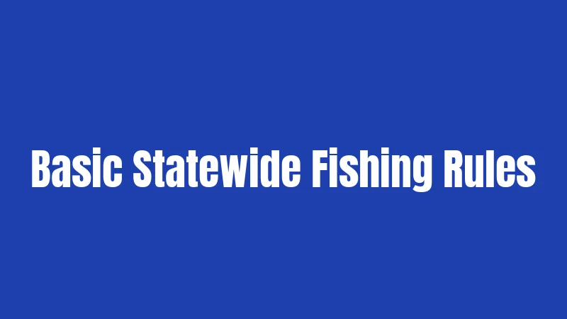 Illinois Fishing Laws in 2026: Your Complete Guide 3 Basic Statewide Fishing Rules