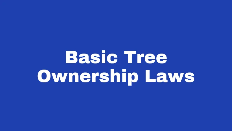 Tree Laws in West Virginia (2026): The Roots of Real Trouble 1 Basic Tree Ownership Laws