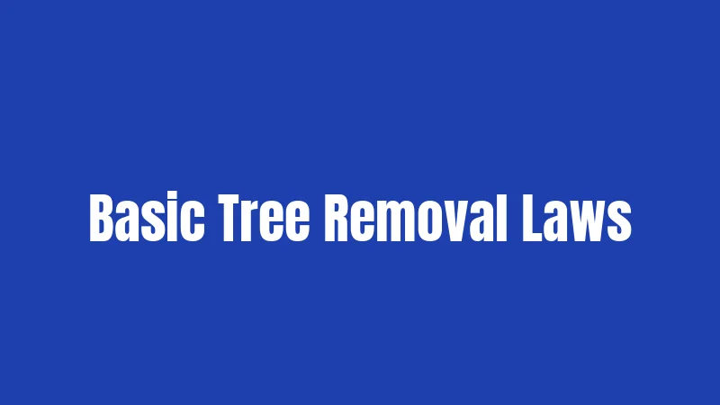 Tree Laws in Indiana (2026): Your Rights, Your Yard, Your Rules 2 Basic Tree Removal Laws