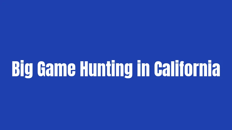 Big Game Hunting in California