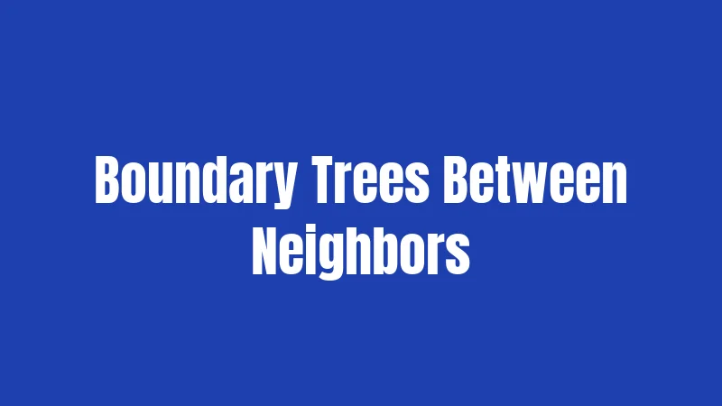 Boundary Trees Between Neighbors