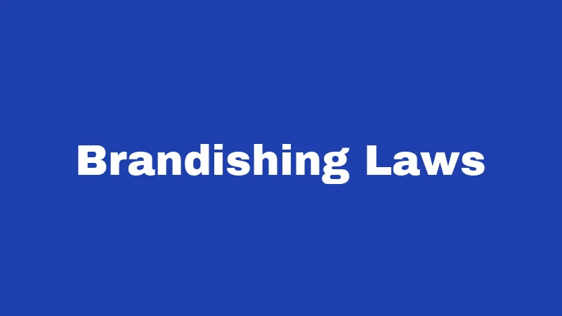 Brandishing Laws