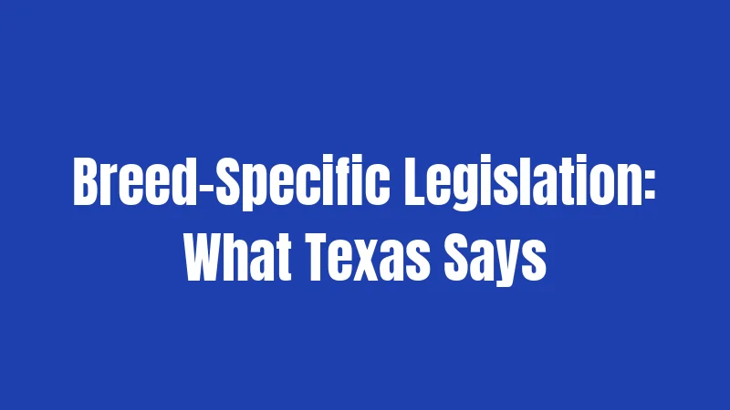Dog Laws in Texas (2026): Rules Every Owner Must Follow 3 Breed-Specific Legislation: What Texas Says