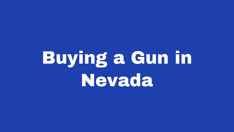 Buying a Gun in Nevada