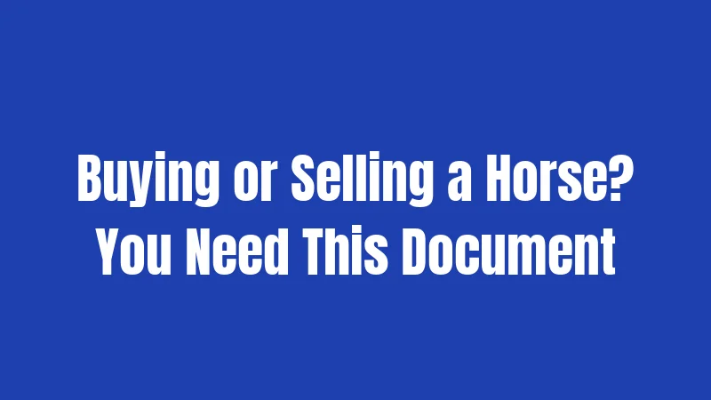 Buying or Selling a Horse? You Need This Document