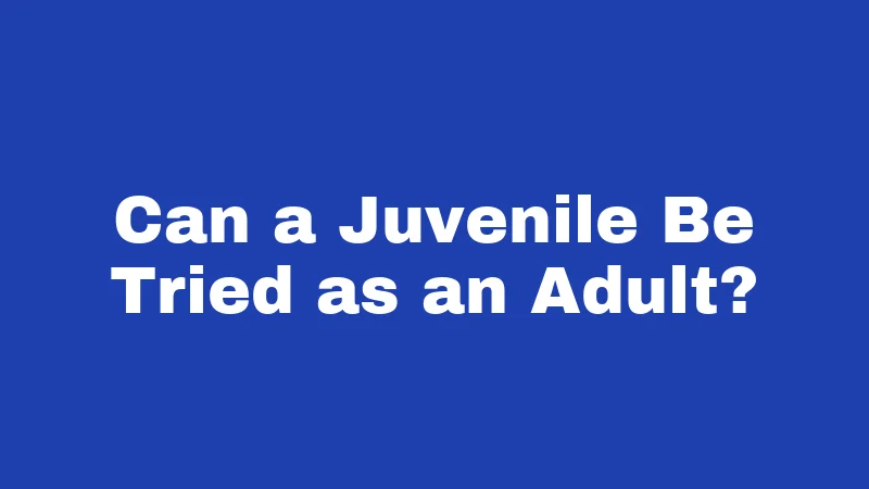 Juvenile Laws in Kentucky (2026): What Every Parent and Teen Should Know 3 Can a Juvenile Be Tried as an Adult?