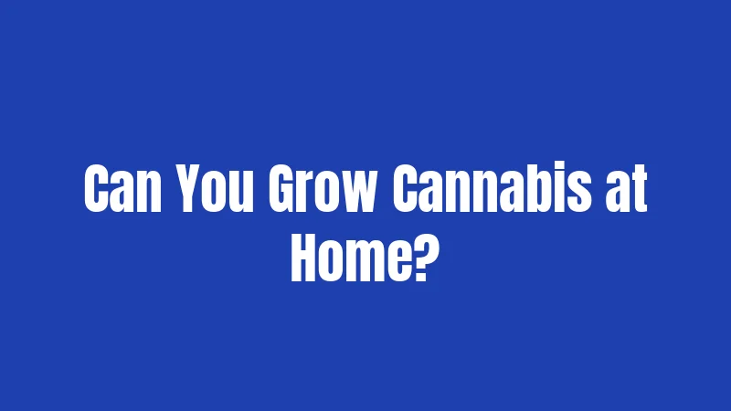 Can You Grow Cannabis at Home?