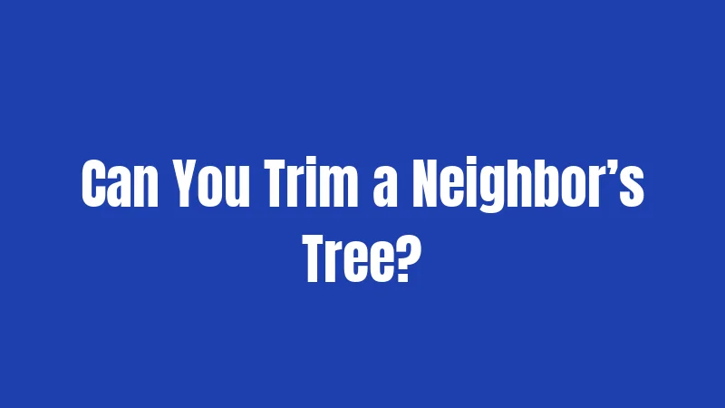 Can You Trim a Neighbor’s Tree?