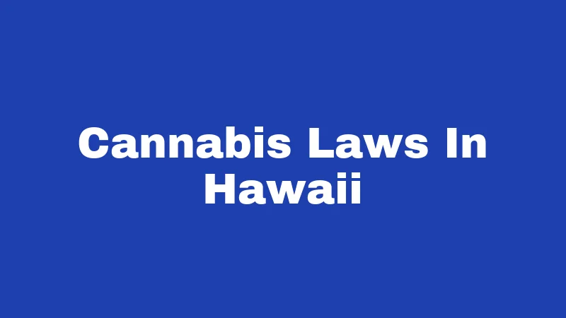 Cannabis Laws In Hawaii