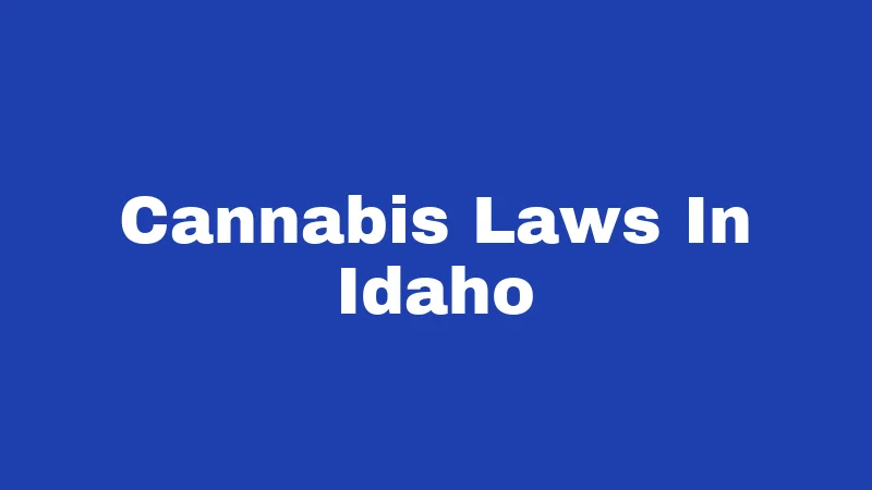 Cannabis Laws in Idaho (2026): The Strictest State in the Country 163 Cannabis Laws In Idaho