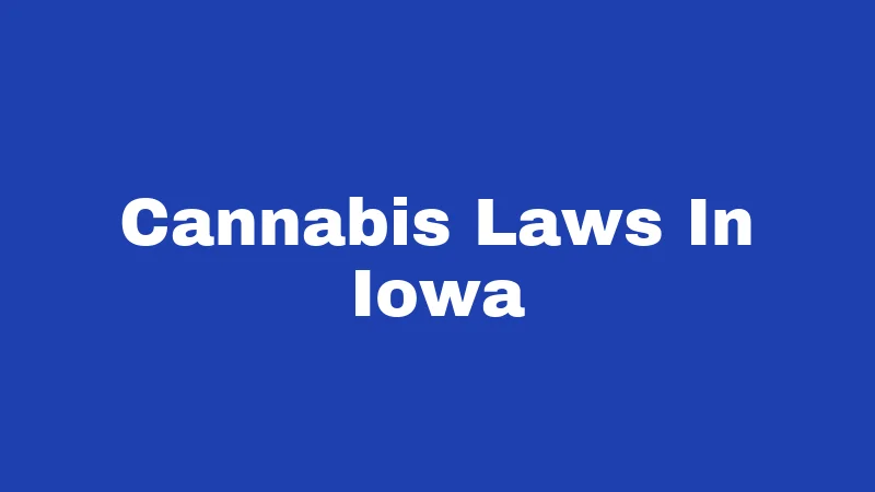 Cannabis Laws in Iowa (2026): Don't Get Caught Off Guard 232 Cannabis Laws In Iowa