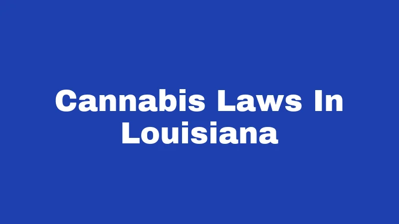 Cannabis Laws In Louisiana