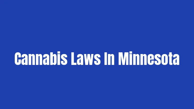 Cannabis Laws In Minnesota