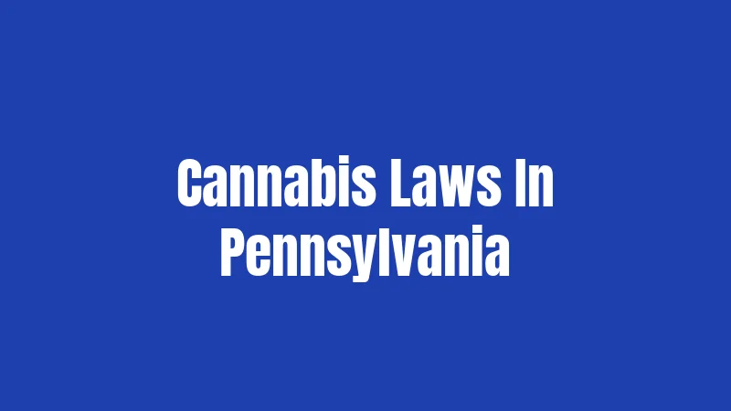 Cannabis Laws In Pennsylvania