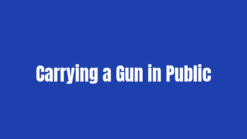 Carrying a Gun in Public