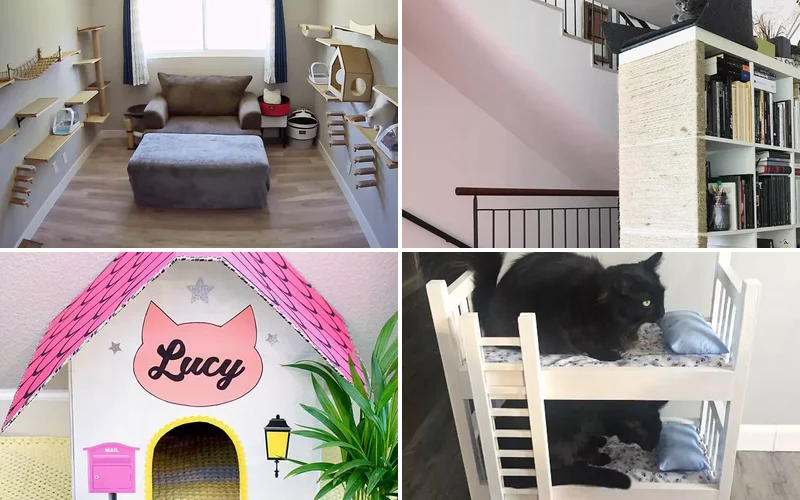 25 Stylish Cat Room Ideas That'll Transform Your Home Into a Feline Paradise 1 cat room ideas featured