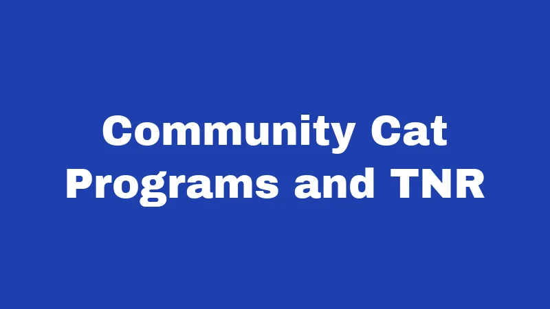 Community Cat Programs and TNR