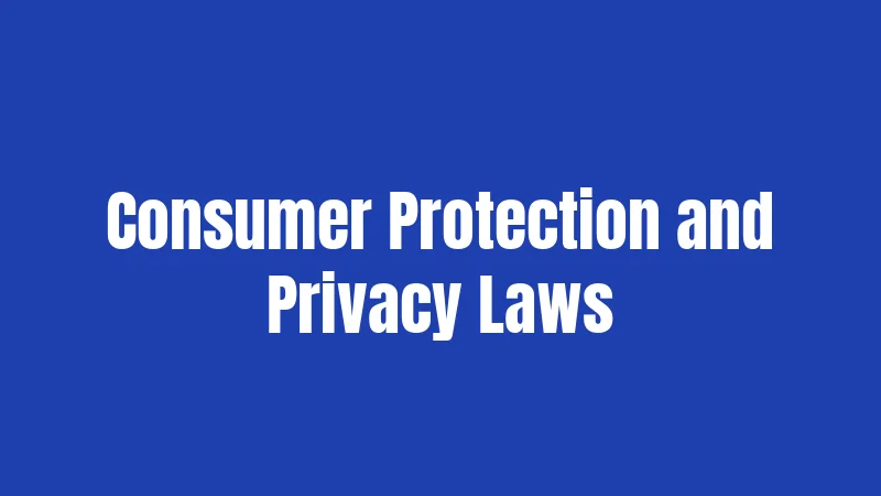 Phone Laws in New York (2026): Rules Getting Way Stricter 4 Consumer Protection and Privacy Laws