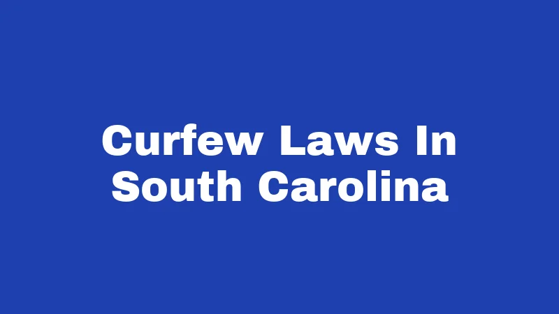 Curfew Laws in South Carolina (2026): Rules Every Family Should Know 382 Curfew Laws In South Carolina
